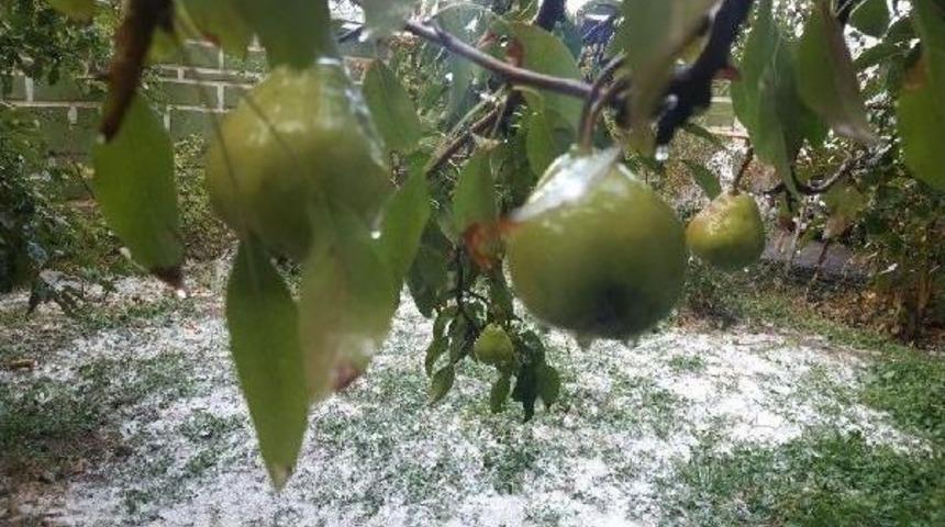 Van'daki Dolu Yağışı Meyve Bah&ccedil;elerini Beyaza B&uuml;r&uuml;d&uuml;