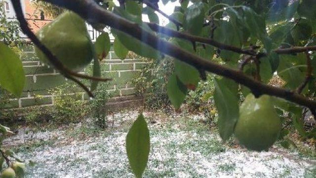 Van daki Dolu Yağışı Meyve Bah&ccedil;elerini Beyaza B&uuml;r&uuml;d&uuml; 1