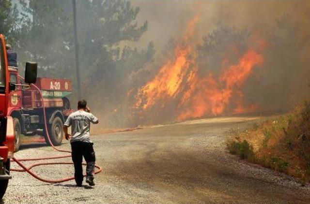 Orman Yangınlarında 9 Bin 226 Hektar Alan Zarar Gördü