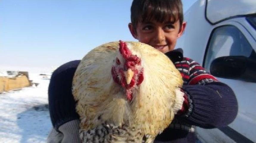 Tatildeki &Ouml;ğrenciler Kar &Uuml;st&uuml;nde G&uuml;reş Tutup, Halay &Ccedil;ekiyor