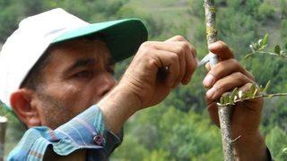 Adana’da Orman Köylüsüne Destek