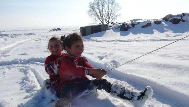 Tatildeki Öğrenciler Kar Üstünde Güreş Tutup, Halay Çekiyor