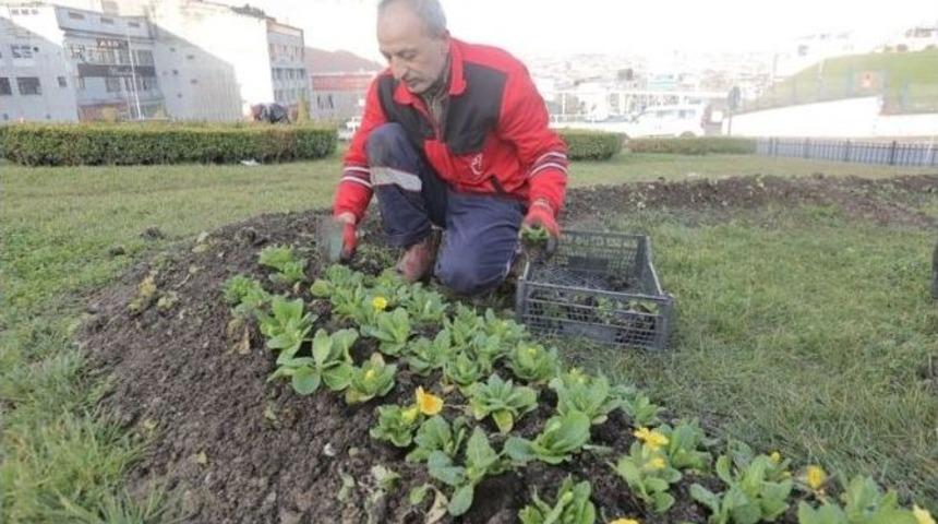 G&uuml;ng&ouml;ren &Ccedil;i&ccedil;eklerle Renkleniyor