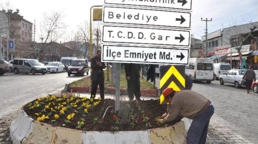 G&ouml;lbaşı İl&ccedil;esinde Kışlık &Ccedil;i&ccedil;ek Dikimi Başladı