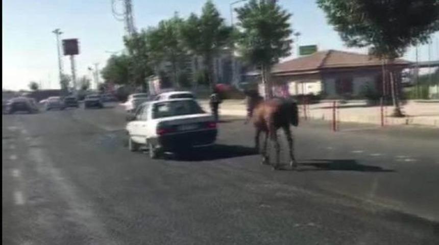 Atı Otomobilin Arkasına Bağlayarak Ilerledi