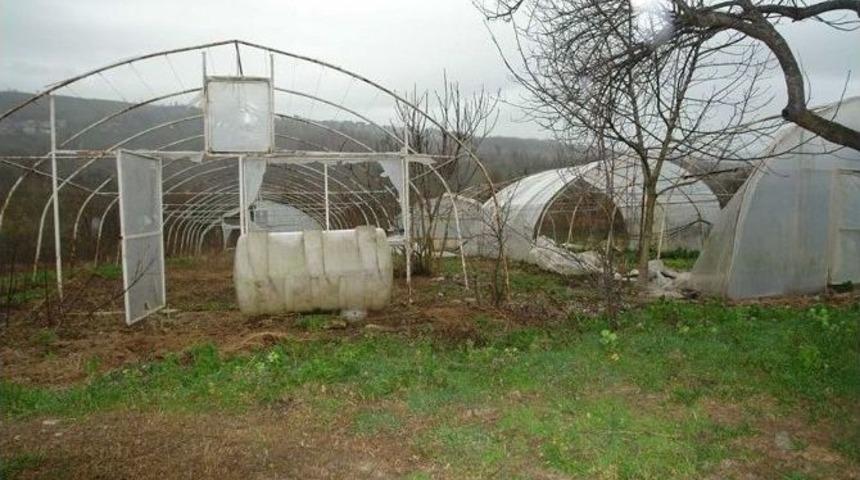 Alaplı&rsquo;da Lodos Seraları Vurdu