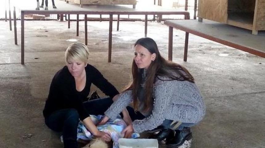 Manavgat'taki Barınağa T&uuml;rk Ve Alman Hayvanseverlerden Tepki