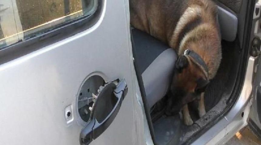 Ara&ccedil;taki 10 Bin 627 Uyuşturucu Hapı '&ccedil;ako' Buldu