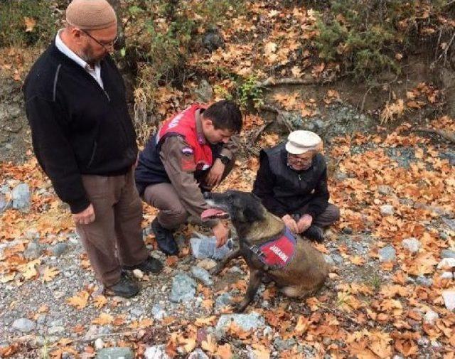 Kayıp Adamı Jandarmanın Iz Takip Köpeği 'cadı' Buldu