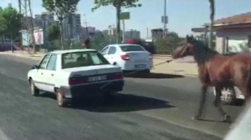 Otomobilin Arkasına Bağlanan At G&ouml;renleri Şaşırttı