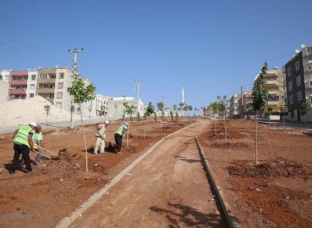 Haliliye’ye Yedi Yeni Park Kazandırılıyor