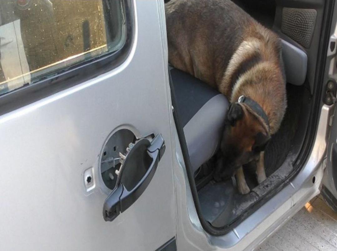 Denizli&rsquo;de Uyuşturucu Ticareti Yapan 7 Kişi Tutuklandı