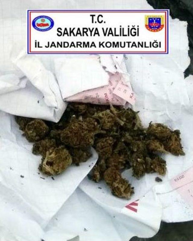 Sakarya’da 650 Adet Uyuşturucu Hap Ele Geçirildi