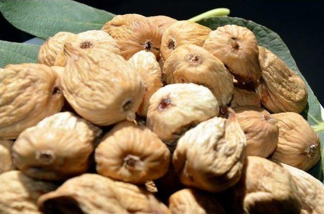 Kaybolan Toprakların Sessiz Kahramanı: İncir 1