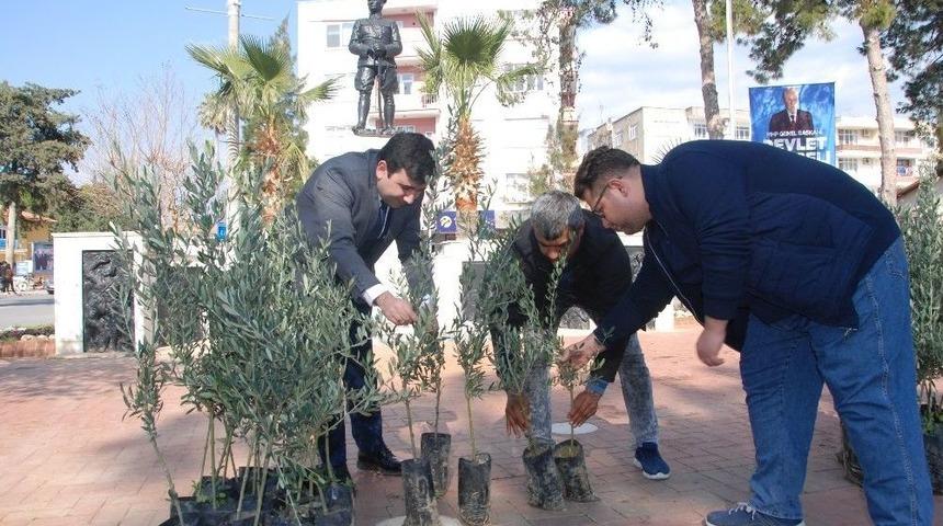 Zeytin Dalı Harekatı&rsquo;na 10 Bin Zeytin Fidanıyla Destek