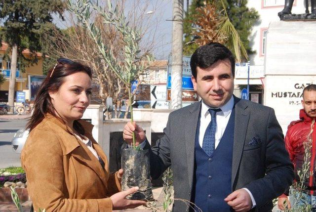 Zeytin Dalı Harekatı’na 10 Bin Zeytin Fidanıyla Destek