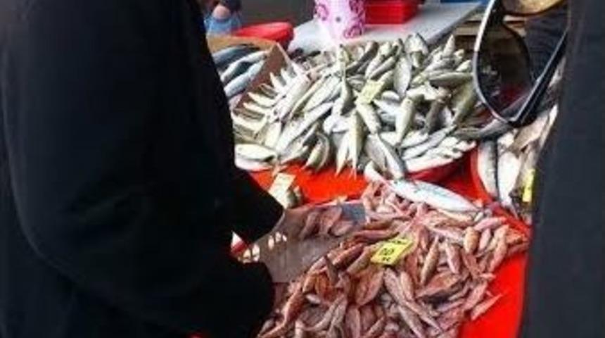 Burhaniye’de Dil Ve Pisi Balığı Denetimi