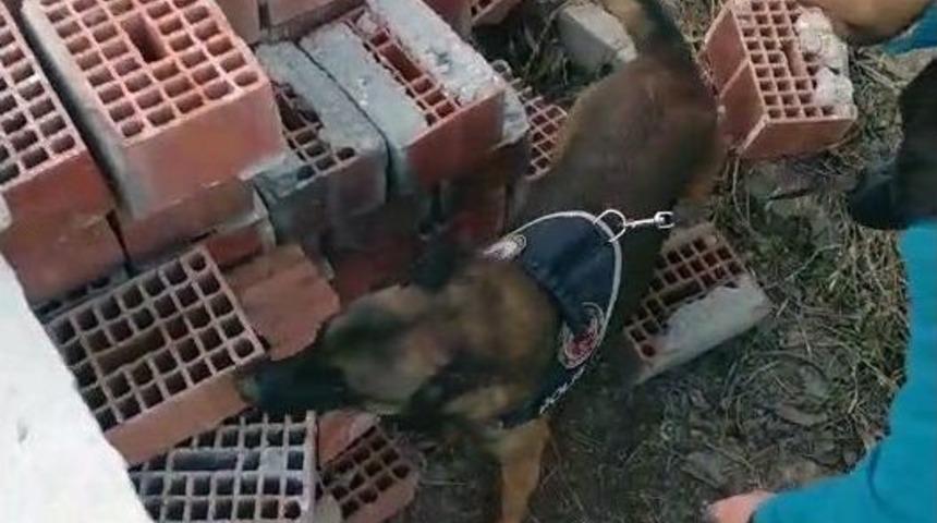 Ares, Tuğla Arasına Saklanan Uyuşturucuyu Buldu