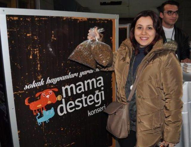 Sokak Hayvanları I&ccedil;in Mama Alana Konsere Giriş &Uuml;cretsiz 1