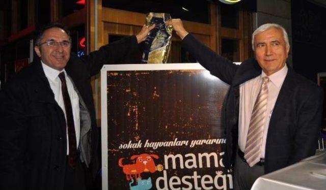 Sokak Hayvanları I&ccedil;in Mama Alana Konsere Giriş &Uuml;cretsiz 2