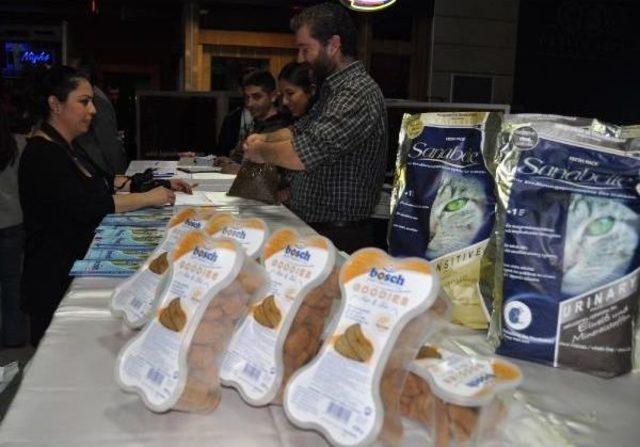 Sokak Hayvanları I&ccedil;in Mama Alana Konsere Giriş &Uuml;cretsiz 3