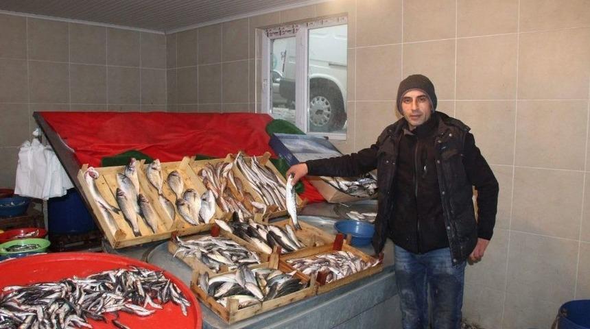 Balık Fiyatları Borsa Gibi