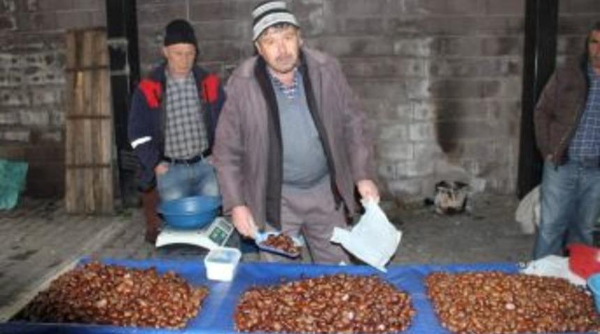 Simav Kestanesinin Kilosu 25 Tl&rsquo;ye Y&uuml;kseldi