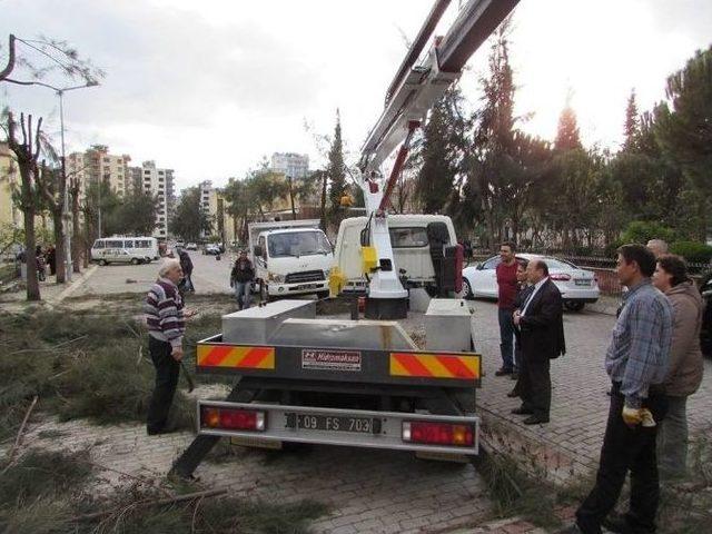 Başkan Özakcan, Çalışmaları Yerinde İnceledi