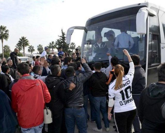 Beşiktaş'a Adana Izdihamı