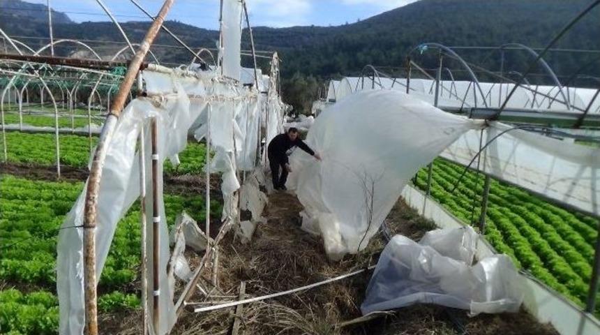 (&ouml;zel Haber) Seraları U&ccedil;uran Lodos Y&uuml;zlerce &Ccedil;ift&ccedil;iyi Mağdur Etti