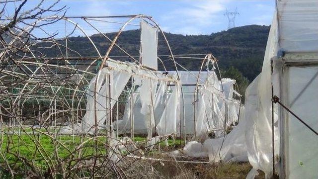 (özel Haber) Seraları Uçuran Lodos Yüzlerce Çiftçiyi Mağdur Etti