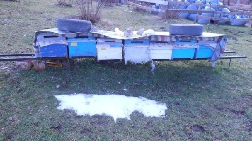 Kar Bolluğu &rsquo;bal&rsquo;ı Arttıracak