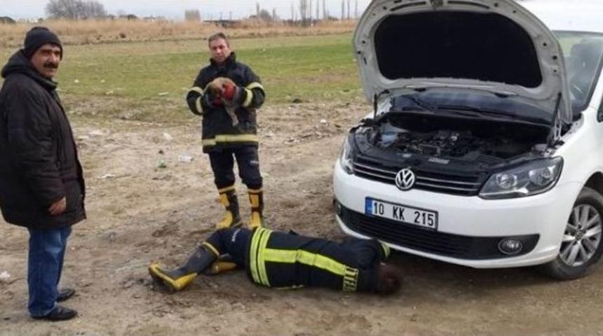 Aracın Motor Kısmına Sıkışan K&ouml;peği İtfaiye Kurtardı