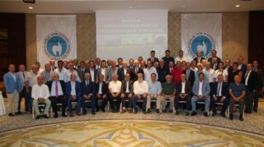 Marmarabirlik 50 Bin Ton Zeytin Alacak