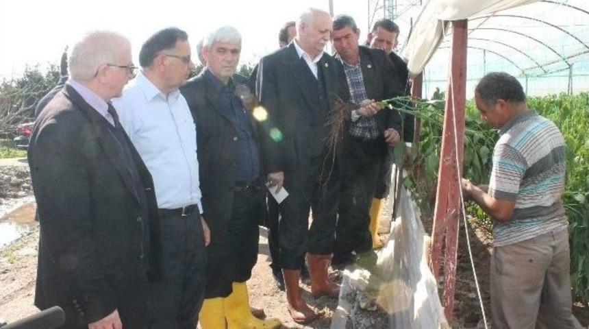 Bayraktar Seralarda İnceleme Yaptı