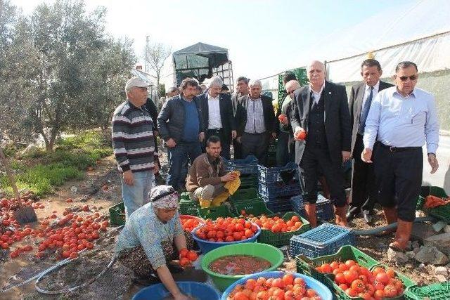 Bayraktar Seralarda İnceleme Yaptı