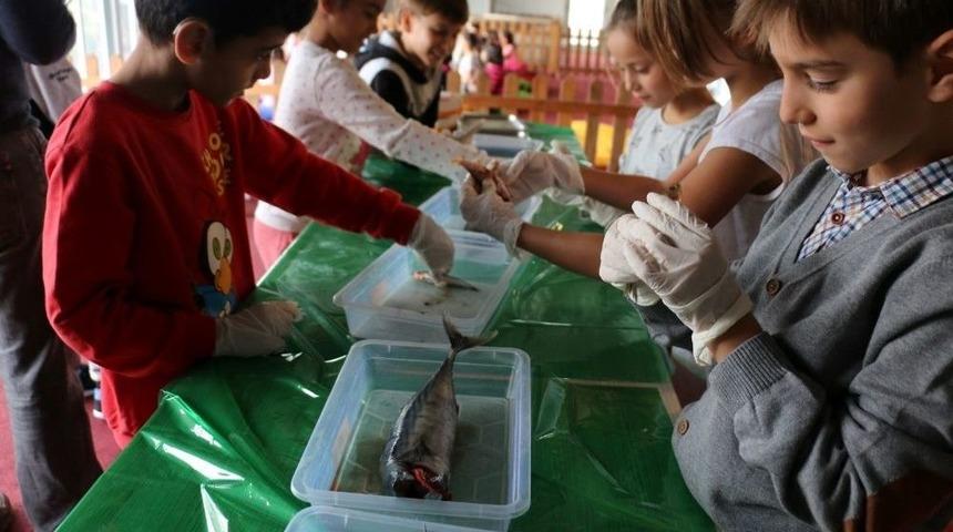 Bilim Merkezi&rsquo;nde &lsquo;&rsquo;su Altına Yolculuk&rsquo;&rsquo;