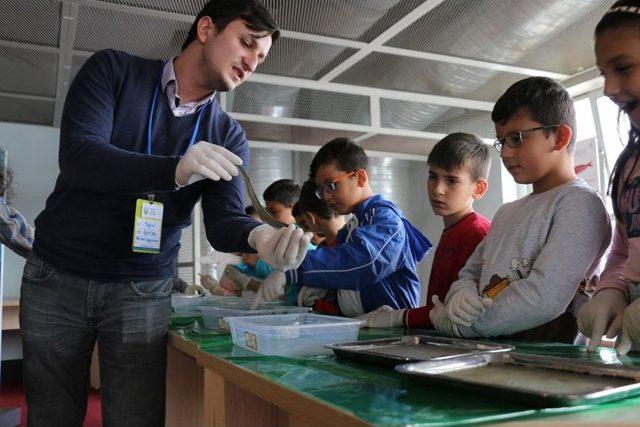 Bilim Merkezi&rsquo;nde &lsquo;&rsquo;su Altına Yolculuk&rsquo;&rsquo; 1