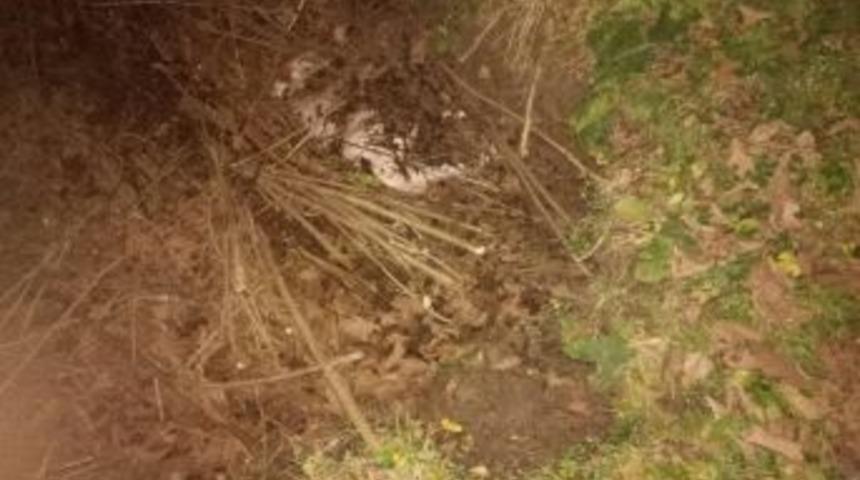 Kayıp Başvurusunun Arkasından Cinayet &Ccedil;ıktı