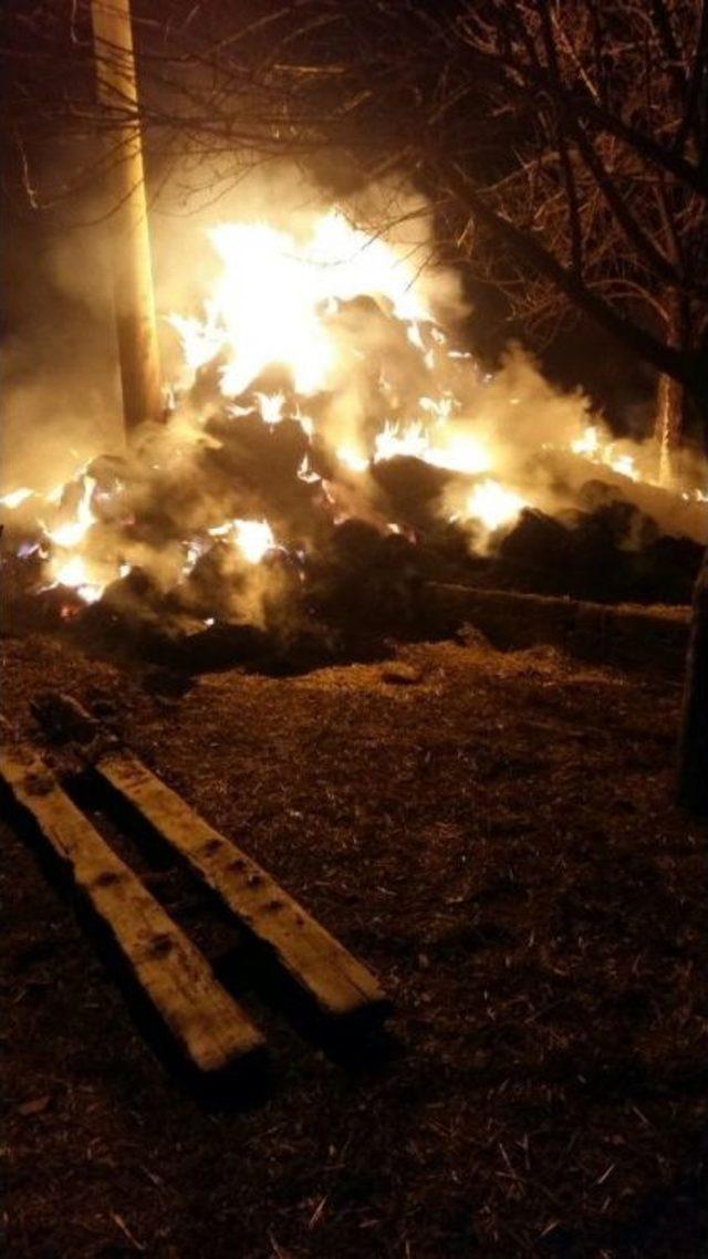 Tekirdağ’da Balya Yangını 3