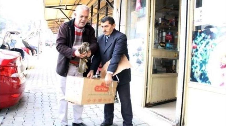 Yaralı Şahine Sahip &Ccedil;ıkıldı