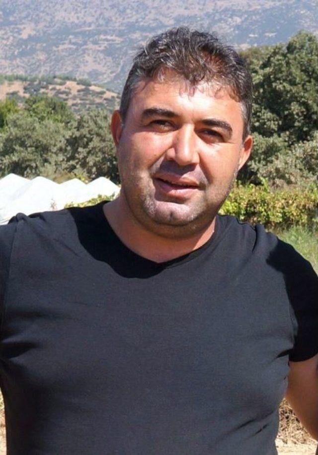 Sarıg&ouml;l&rsquo;de 23 Bin Dekarlık &Uuml;z&uuml;m Bağı Damlama Sulamayla Sulanacak 3