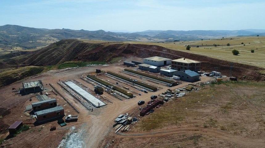 Sivas&rsquo;ta Sokak Hayvanları İ&ccedil;in Otel Yapılıyor