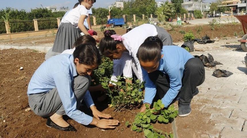 Akdeniz&rsquo;de Parklar Ve Bah&ccedil;eler Rengarenk Oluyor