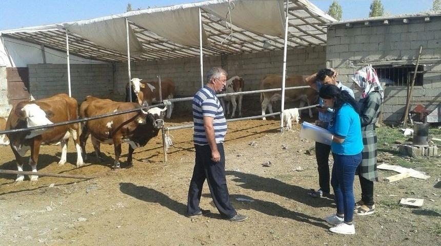 Edremit&rsquo;te Ahır Sahibi &Ccedil;ift&ccedil;iler Bilgilendiriliyor