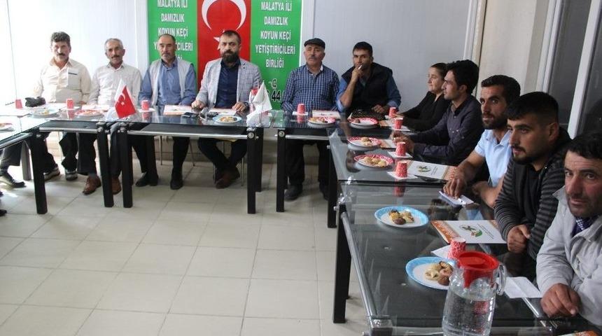 &lsquo;koyun Kırkım&rsquo; Kursu Başladı.