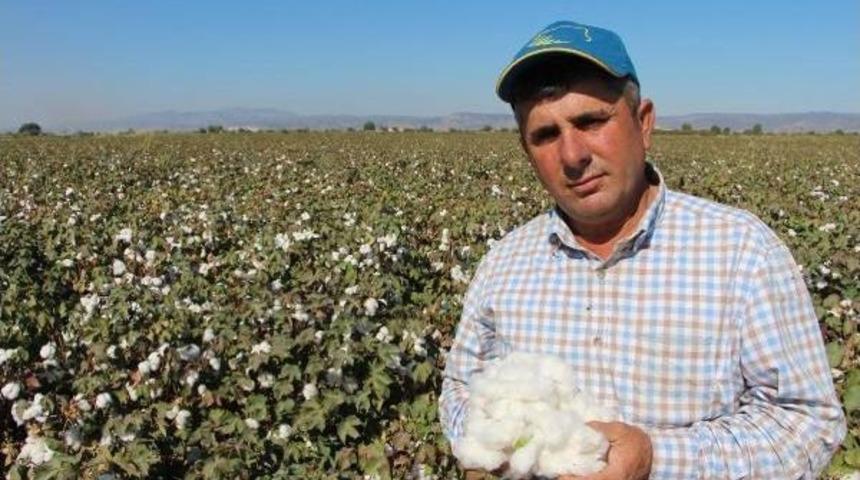 Manisalı &Uuml;reticiler 'beyaz Altın'a Y&ouml;neldi