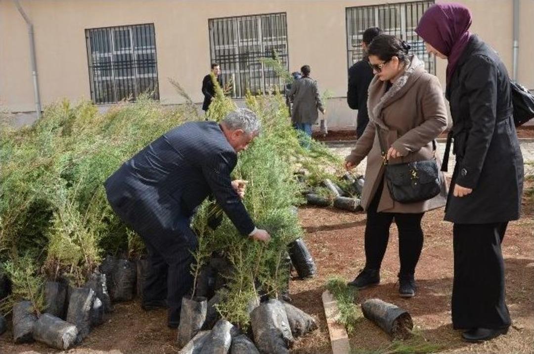 Viranşehir&rsquo;de Okullara 3 Bin Fidan Dikildi