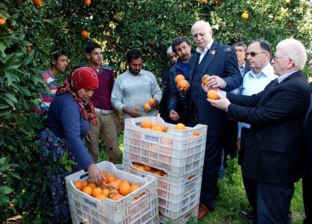 Tzob Genel Başkanı Bayraktar: Üreticilerin Yarasını Sarmaya Çalışacağız