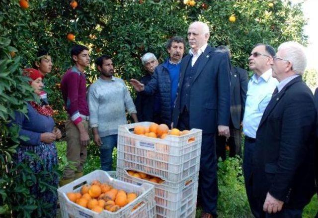 Tzob Genel Başkanı Bayraktar: Üreticilerin Yarasını Sarmaya Çalışacağız